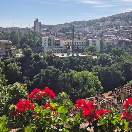 Paradise * Veliko Tarnovo
